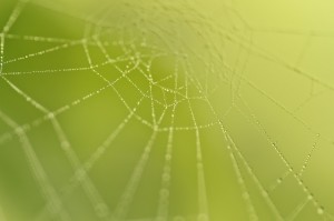 Experiência com ações intersetoriais pela Primeira Infância é a contribuição da FMCSV ao projeto